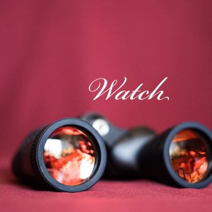 Album Watch from Demi Dangerous