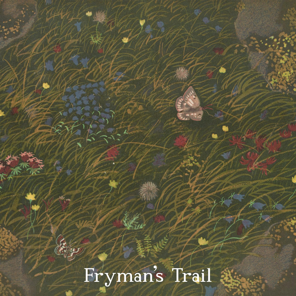 Fryman's Trail (feat. Shelley fka DRAM)