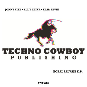 Listen to Pong Song song with lyrics from Jonny Vibe