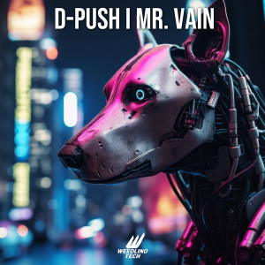 Mr. Vain dari D-Push