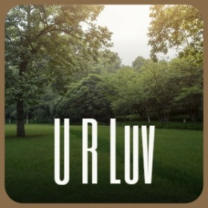 Album U R Luv from Various Artists