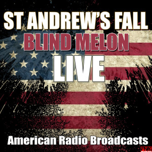 Listen to No Rain (Live) song with lyrics from Blind Melon