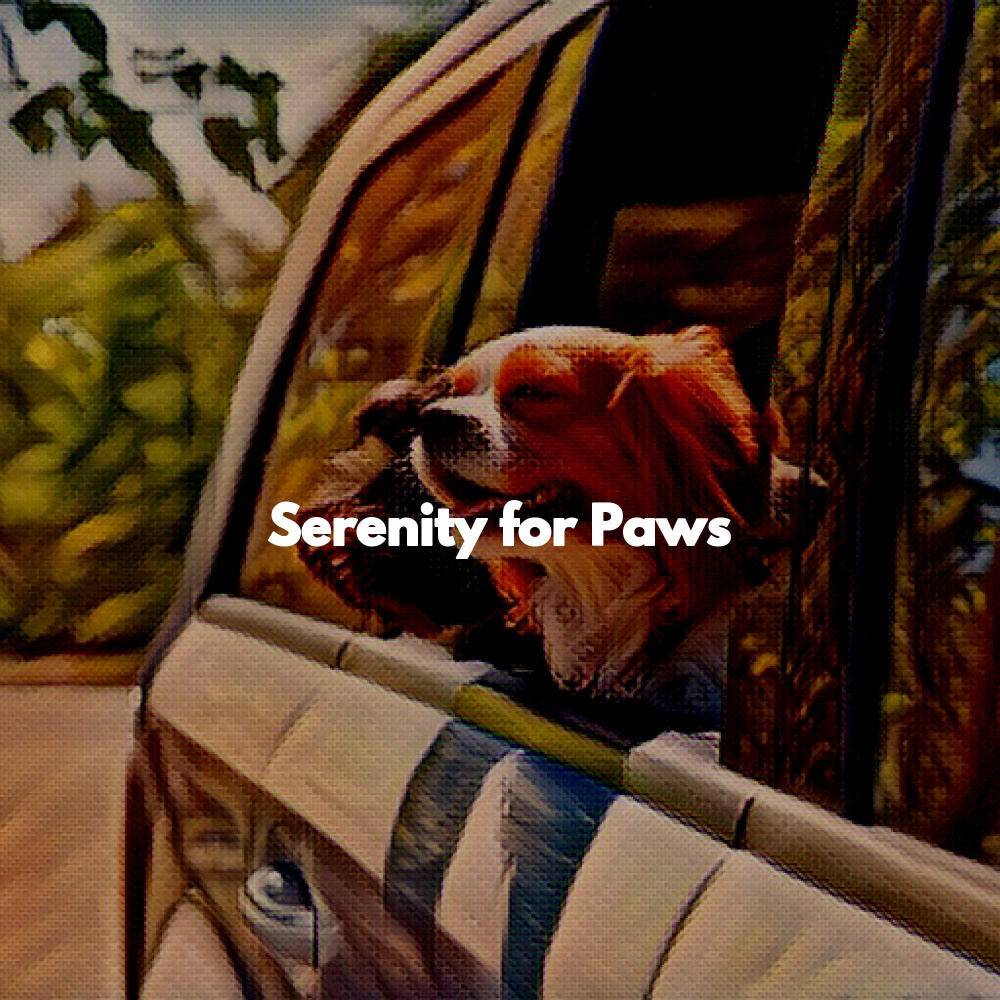 Swanky Dogs and Walk