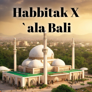 收听SHOLAWAT MUSIC POPULER FULL ALBUM的Habbitak X `ala Bali (Cover)歌词歌曲