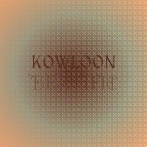 ดาวน์โหลดและฟังเพลง Kowloon Beatific พร้อมเนื้อเพลงจาก Rony Gret