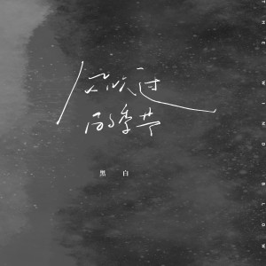 Album 风吹过的季节 from 黑白