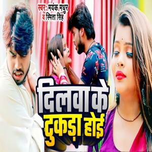 Dengarkan Dilwa Ke Tukra Hoi lagu dari Mayank Madhur dengan lirik