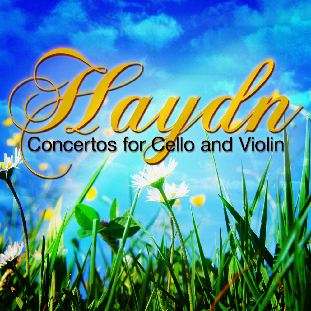 Concerto No. 1 in C Major for Cello and Orchestra, Hob. VIIb/1: II. Adagio