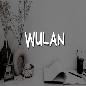 Wulan的专辑Menemukanmu Cinta