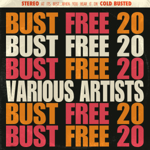 Album Bust Free 20 from Various Artists