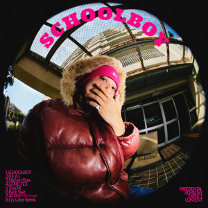 Listen to Cry Later (feat. 柊人 & BIM) (Remix) song with lyrics from 18scott