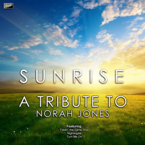 ดาวน์โหลดและฟังเพลง Not Too Late พร้อมเนื้อเพลงจาก Ameritz Tribute Club