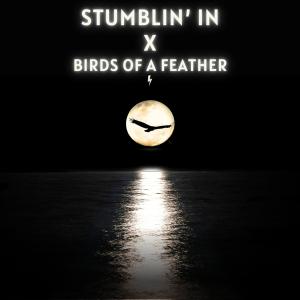 อัลบัม Stumblin’ In x Birds of a Feather ศิลปิน Turbocharged Titans