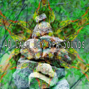 ดาวน์โหลดและฟังเพลง Peaceful Spa พร้อมเนื้อเพลงจาก Music for Reading