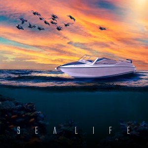 Album Sea Life from Berkay Şükür