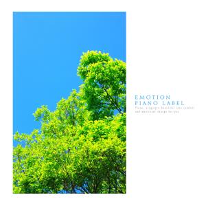 Album A refreshing piano collection that will lower the discomfort index from Various Artists