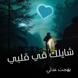收聽بهجت عدلي的لندخلنّ لمحضر الملك (feat. Haidy Adib)歌詞歌曲