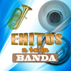 Listen to El Mudo (En Vivo) song with lyrics from Mayel y Su Plebada