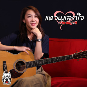收聽หลิน เมญาณี的แหวนแลกใจ歌詞歌曲