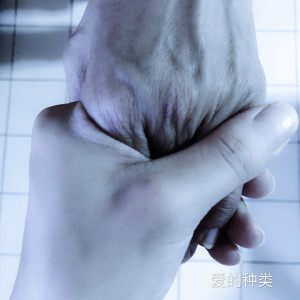 ดาวน์โหลดและฟังเพลง 依靠 พร้อมเนื้อเพลงจาก 钟志豪