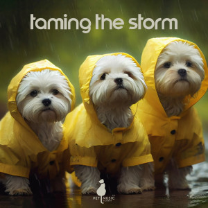 Album Taming the Storm (Gentle Rain for Dogs' Peace of Mind) from Pet Music Academy