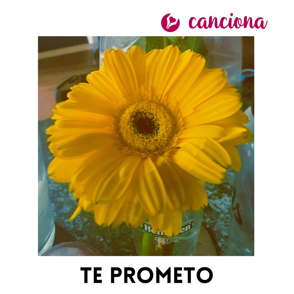 Te prometo