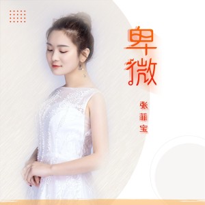收聽張菲寶的卑微 (伴奏)歌詞歌曲