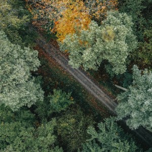 ดาวน์โหลดและฟังเพลง Nanti (Cover) พร้อมเนื้อเพลงจาก Cefi gunawan