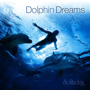 ดาวน์โหลดและฟังเพลง Swept Away in Wonder พร้อมเนื้อเพลงจาก Dan Gibson's Solitudes