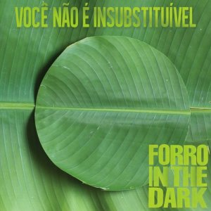 Forro In The Dark的專輯Você Não É Insubstituível