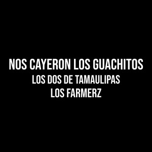 Listen to Nos Cayeron los Guachitos (Explicit) song with lyrics from LOS DOS DE TAMAULIPAS