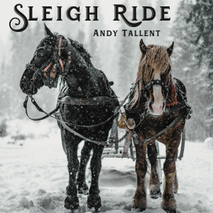 ดาวน์โหลดและฟังเพลง Sleigh Ride พร้อมเนื้อเพลงจาก Andy Tallent