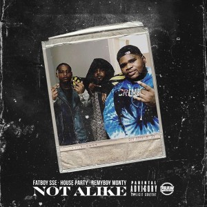 Listen to Not Alike (Explicit) song with lyrics from Fatboy SSE