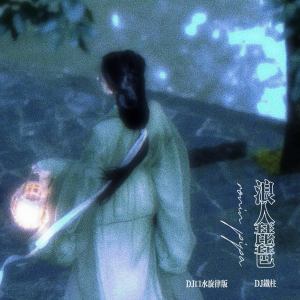 DJ铁柱的专辑浪人琵琶 (DJ口水旋律版)