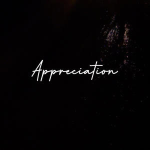 收聽Rebels Music的Appreciation (feat. Tokyo & Mas Productions) (Explicit)歌詞歌曲