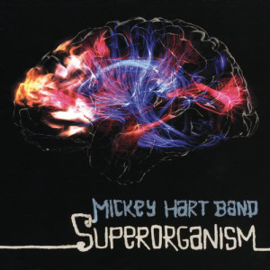 ดาวน์โหลดและฟังเพลง Rage On พร้อมเนื้อเพลงจาก Mickey Hart Band
