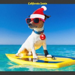 Listen to Christmas Song song with lyrics from John Gary