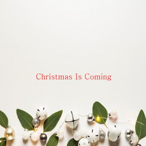 Dengarkan lagu Chirstmas Is Coming nyanyian Lavender Dream dengan lirik