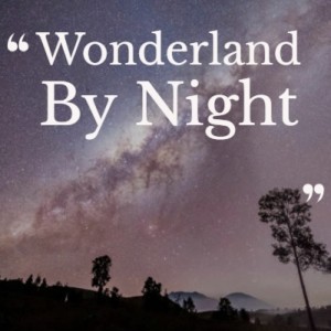 Album Wonderland By Night from Various Artist