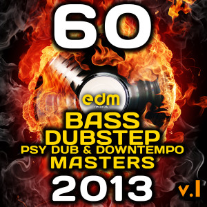 Dubstep Spook的專輯60 Bass, Dubstep, Psy Dub & Downtempo Masters 2013, Vol. 1