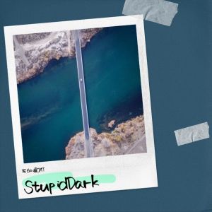 Listen to Stupid Dark (完整版) song with lyrics from 尼加提NjEt