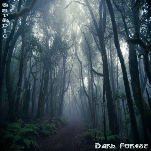 อัลบัม Dark Forest ศิลปิน SkyEpic
