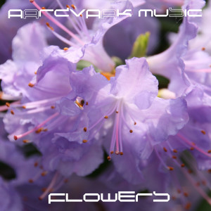 收聽Aardvaak Music的Flowers歌詞歌曲