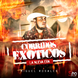 Listen to Gerardo Madriz song with lyrics from Miguel Rosales