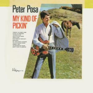 ดาวน์โหลดและฟังเพลง Snow Flake พร้อมเนื้อเพลงจาก Peter Posa