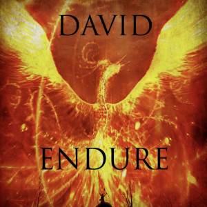 Listen to Endure song with lyrics from DAVID