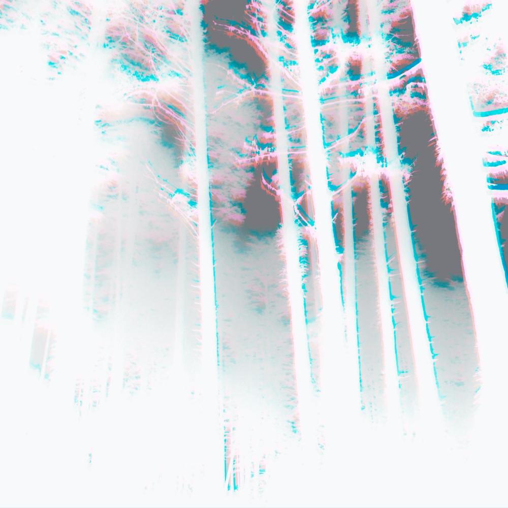 Slydog Woah (Explicit)