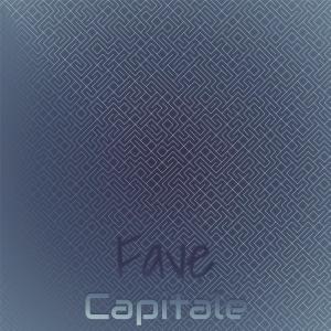 Various Artists的專輯Fave Capitale