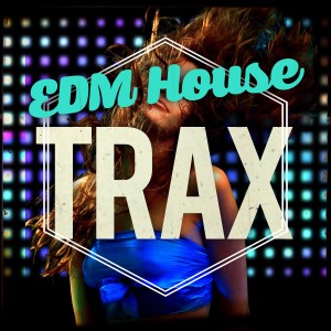 ดาวน์โหลดและฟังเพลง Bump พร้อมเนื้อเพลงจาก EDM House Hits