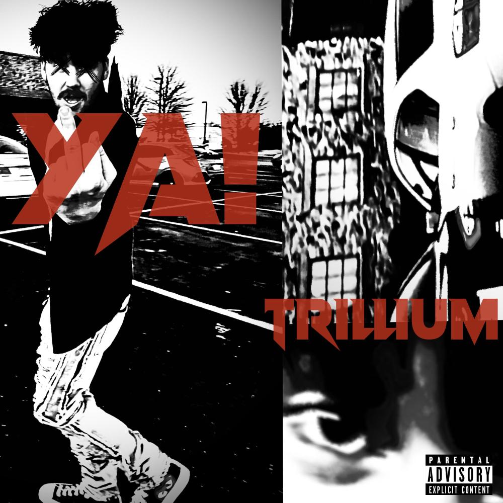 YA! (Explicit)